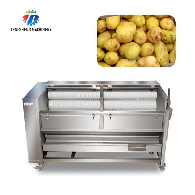 Rolo da escova do vegetal de fruto que descasca a máquina de processamento do vegetal da máquina da limpeza