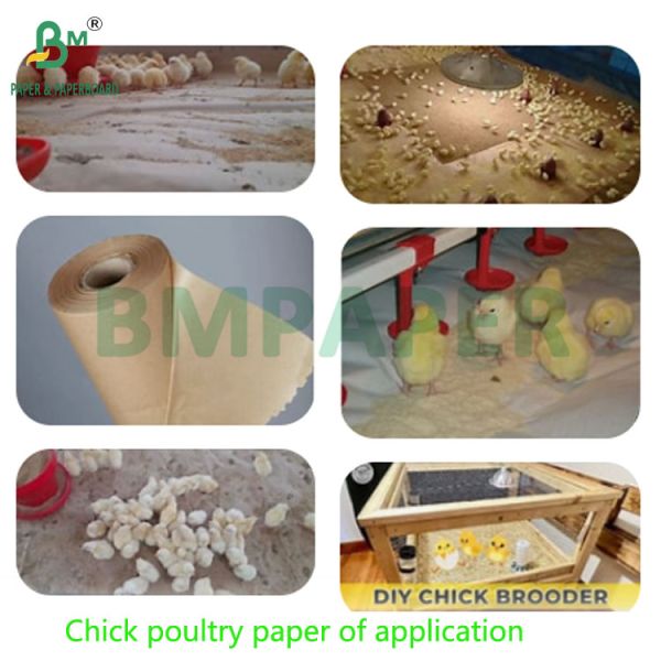 70gsm to 120gsm 24inch 36inch Absorbent Kraft Chick Poultry Paper For Hens Rearing