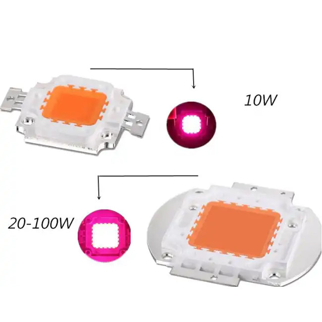 10 Вт 30 Вт Внутренний светодиодный свет высокой мощности LED COB Полный спектр