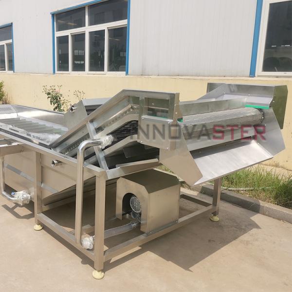Industrial Automatic Ozone Leaf Lemon Herbal Apple Washing Machine Line with SUS 304