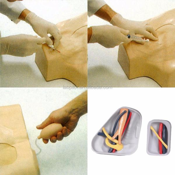 Advanced PVC Torso Model for Central Venous Injection and Puncture Skill Development