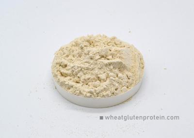 Potenciadores nutricionais em pó de proteína de trigo ligeiramente amarelada para a indústria alimentar