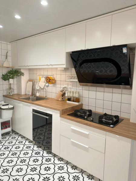 Ensemble d'armoires de cuisine peintes pour un entretien sans effort pour appartement