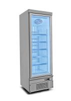 Congelador Vertical Comercial 110V Frutos do Mar Sorvete Frango Congelado Expositor de Produtos