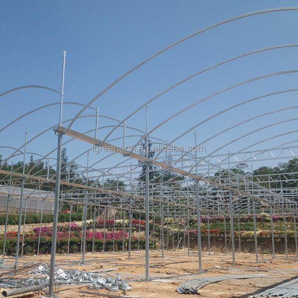 IGreen Tunnel Strawberry Greenhouses for Sale Price of M2 Agricultural Greenhouse