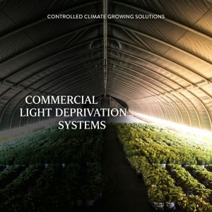 Automatic Ventilation Light Deprivation Greenhouse With UV Resistant Polyethylene Film