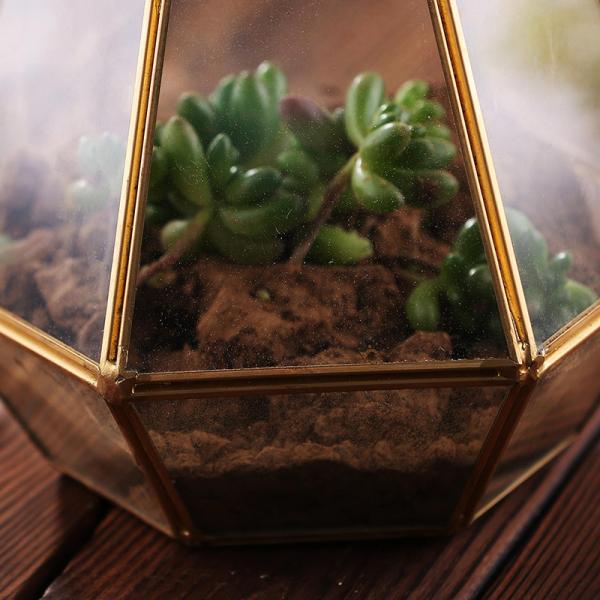 Modern Tabletop Decor Glass Homeware Geometric Terrarium DIY Flower Display Vase