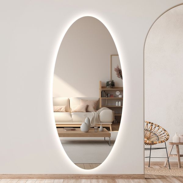 Anti Fog Oval LED Backlit Mirror , Full Length Dressing Mirror Wall Mounted