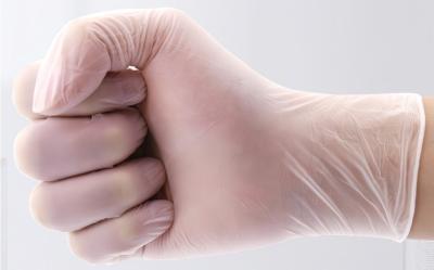 Safe Powder Free Vinyl Gloves Clear Plastic Gloves For Food Handling
