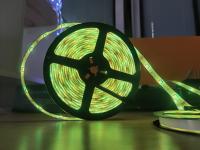 Tira de controle remoto 5050 do diodo emissor de luz do RGB SMD5050 5m/roll a pilhas