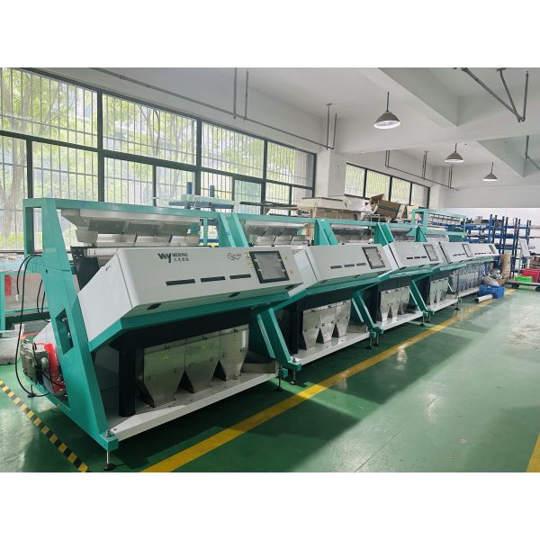 Agricultural Color Sorter Machine for Sunflower Seed Cotton Seed Rapeseed Oil Seeds Processing