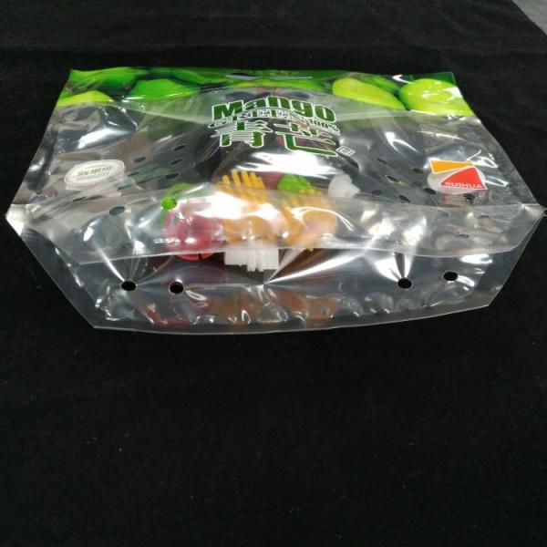 Custom Printing Recyclable OPP Resealable zipper Plastic Bags with Punching Hole for fruit Packing