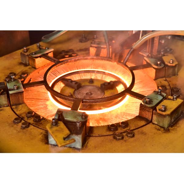 7700520332 117 Teeth Fly Wheel Ring Gear For 12 TOROS R4 / 6 / 12