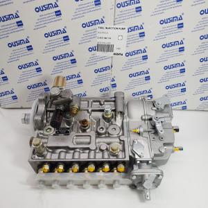 Bomba de injecção de combustível diesel 2 415 156 114 para New Holland