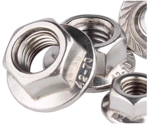 M10 M12 Stainless Steel Hex Flange Nut SS304 316 316L Polish Plain Finish DIN6923