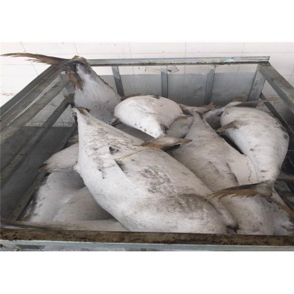 Все naturel 100% круга BQF 20kg вверх по тунцу желтопра Seafrozen