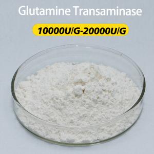 Enzima transglutaminasa de grado alimenticio 1000U/G Proporcionando una muestra