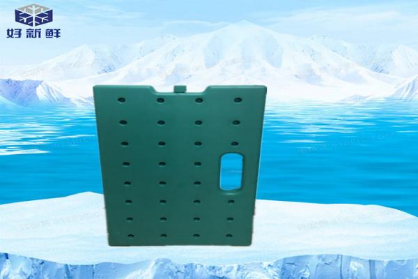 Fresh Refrigerated Thermal Insulation Ice Box Medical Food Plastic Cooling Gel Ice Brick