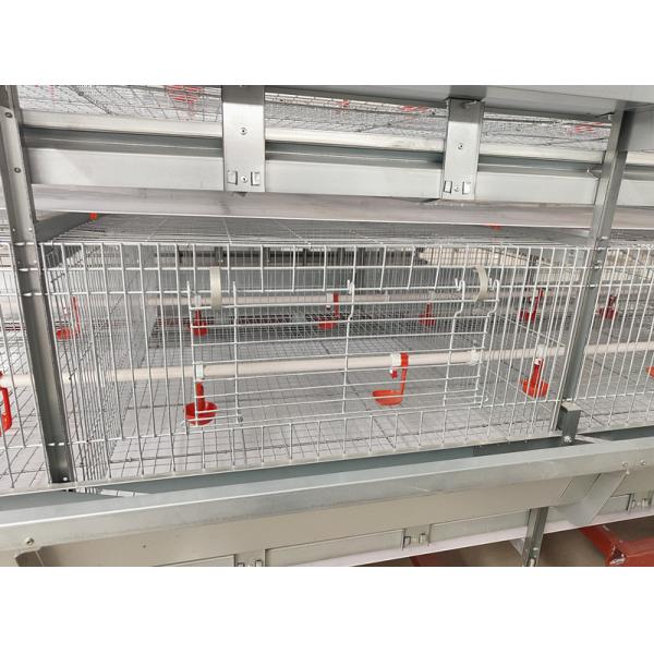 система клетки батареи птицы 90birds/Set 1.5m3 для бройлеров автоматического питаясь YXB4H120