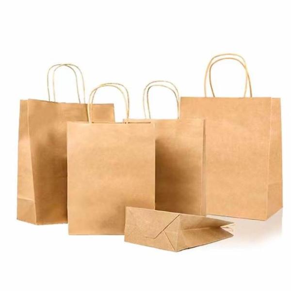 Custom Printed Recyclable Shopping Clothing Gift Bag Kraft Paper Bags with Your Own Logo