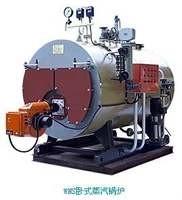 6 Ton Industrial Biomass Boiler Fire Tube Quick Charging Internal Combustion