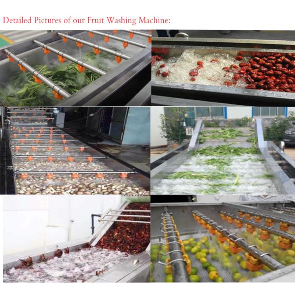 Pasteurization Vegetable Fruit Washing Machine 1500kg/H