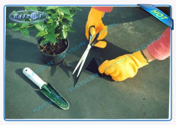 3% UV Protection 10 Year Guarantee Agricultural Non Woven Cover Spunbond In Black Color