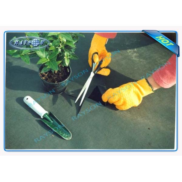 Light Weight Sunshine Protective Anti - Grass Agriculture Non Woven Cover For Strawberry Field