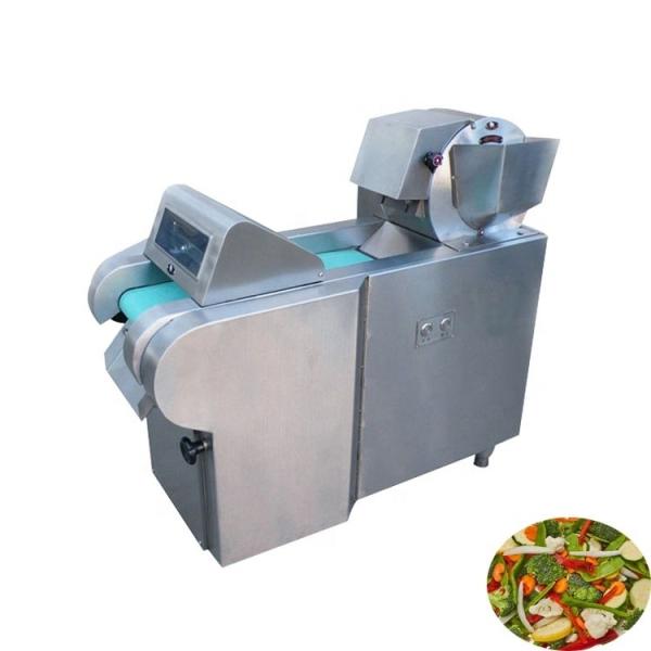 Máquina de cortar vegetais multifuncional Capacidade 600/1000/1500kg/h Voltagem 220v