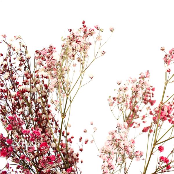 Preserved Gypsophila Baby'S Breath , Dried Gypsophila Wedding Table Flowers