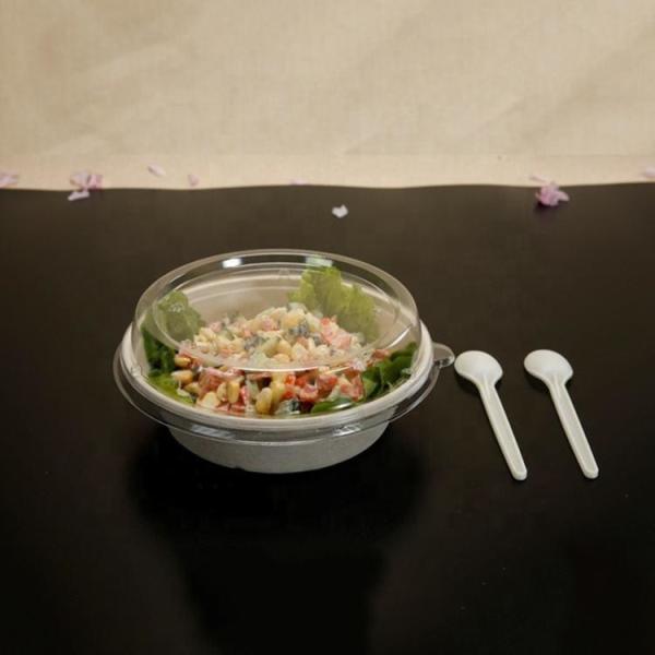 20.000kg Package Gross Weight Biodegradable Disposable Salad Bowl Containers with Lid