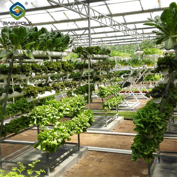 Commercial Lettuce Farm NFT Greenhouse With Galvanized Frame 1.6-1.8m Height