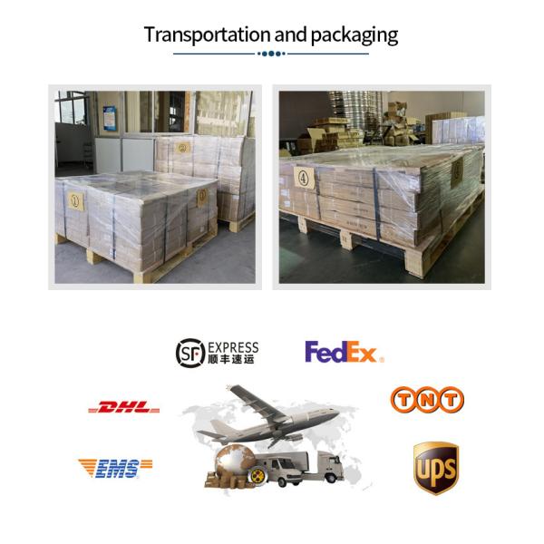 Рустпрооф портативная машинка бит маршрутизатора 90 градусов, коррозионностойкий в филируя резец