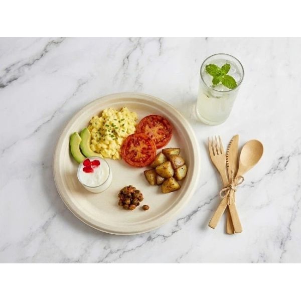 6 Inch Biodegradable Sugarcane Bagasse Plates For Delivery Corporate Catering