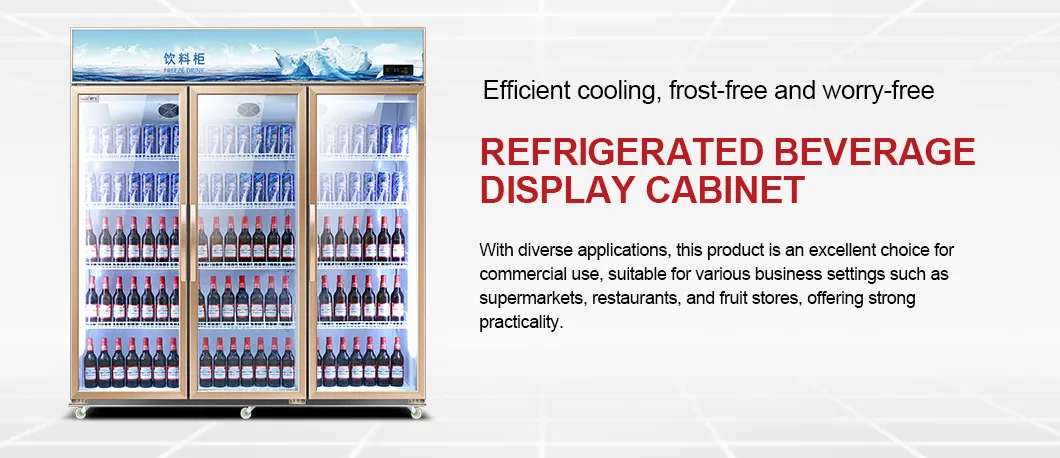 CE Certified Beverage Display Cooler Low Noise 2 Door Commercial Refrigerator