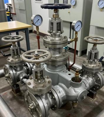 Custom Engineered Boiler Accessories With Automated PLC Control Corrosion Resistant Coating