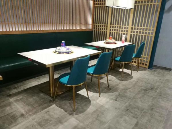 Contemporary design Gold Stainless Steel frame comfortable Dining Chair living room Restaurant