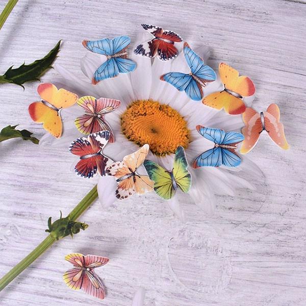 Pre Cut Mixed Edible Cupcake Decorations Rice Paper Butterflies For Cakes