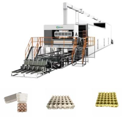 Paper Tray Making Machine Pulp Molding Egg Tray Machine
