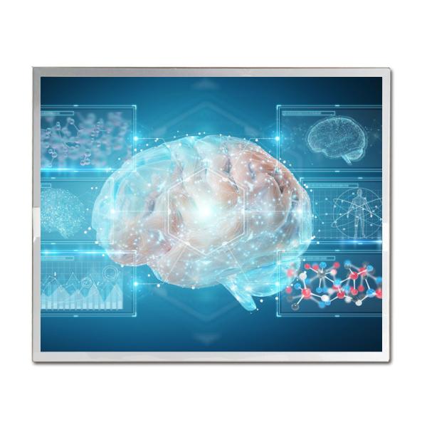 BOE DV190E0M-N11 IPS LCD Screen 250 Nits 19 Inch TFT LCD Display