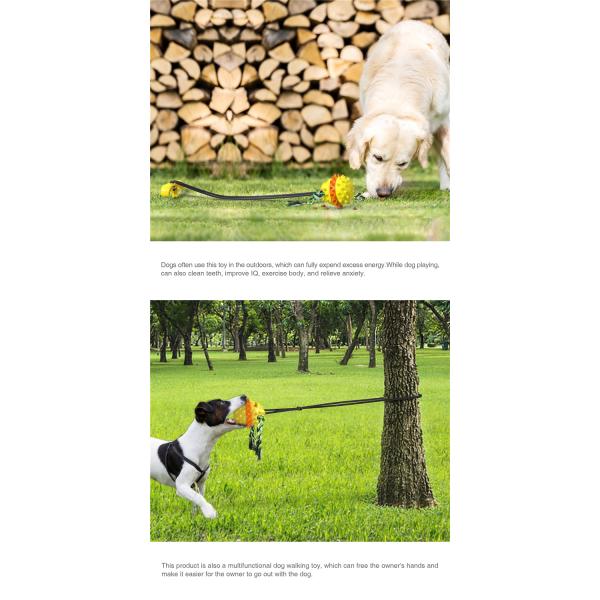 Elastic Plastic Cute Pet Toys Outdoor Water Dog Chewing Ball