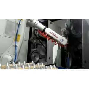 RD-001 Robot Grinder Manipulator 220V Voltage for Smooth and Accurate Grinding