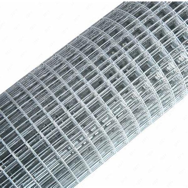 Garden Fence Stainless Steel Electro Galvanized Hot Dipped Galvanized Welded Wire Mesh Rolls