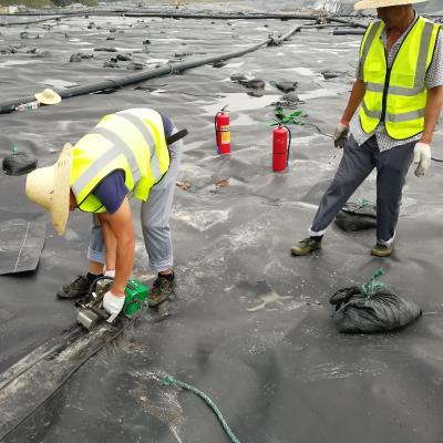 1.0mm 2.0 Mm Geo Membrane Coastal Protection Geo Cell Membrane