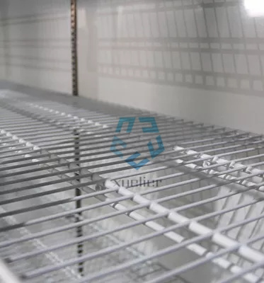 Double Door Pepsi Glass Door Refrigerator Upright Display Fridge Beer cooler