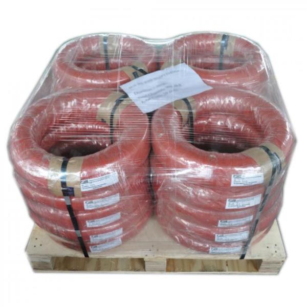 RosH Certified 1.2mm 304 Stainless Steel Spring Wire with Bright Coating and Soap-coated Finish