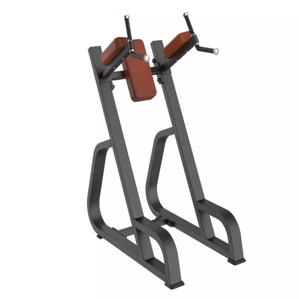 Indoor Bodybuilding Vertical Knees Up/Dip Strength Trainer for Space-Saving Solution