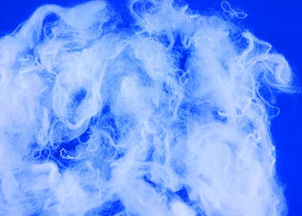High Grade 100% White Polylactic Acid Fiber 1.3D*38mm For Spinning Yarn