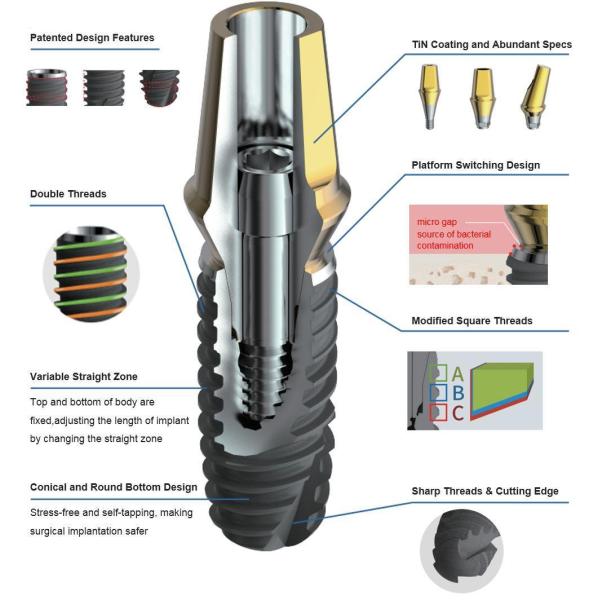 Dental Mini Implant Narrow Connection for Teeth Restoration Customized by 2D/3D/Drawing