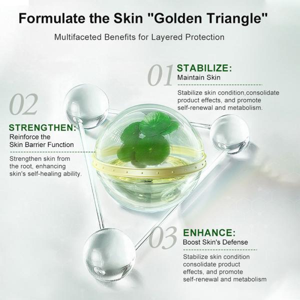 Private Label Beauty Centella Asiatica Organic Dark Spot Lift Lightening Glowing Firming Face Anti Wrinkle Aging Serum